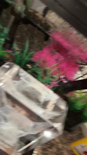 #f1nlo #minecraft #fish #zzz #day6 | minecraft