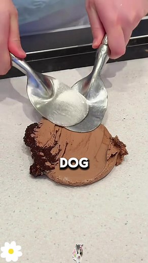 Ex-Wife's Dog Training Drama Unfolds