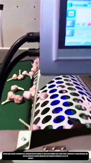 Automated Garlic Bulb Sorting Using Rotating Drum Conveyor System