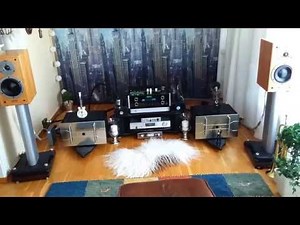 Dynaudio 1.3SE/McIntosh