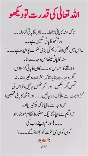 “The Hidden Wisdom of Allah’s Design in the Human Body | Islamic Miracle Facts”#shorts