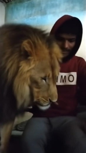 I Finally Found Out How to Get +9999 Aura Levels!