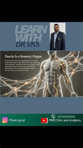 introduction to Fascia and it's clinical relevance #fasciatraining #physio #biomechanics #anatomy