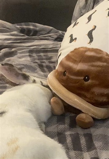 Solar System Plush Toys for Kids and Collectors