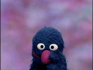 Plaza Sesamo - Archibaldo sobre narices