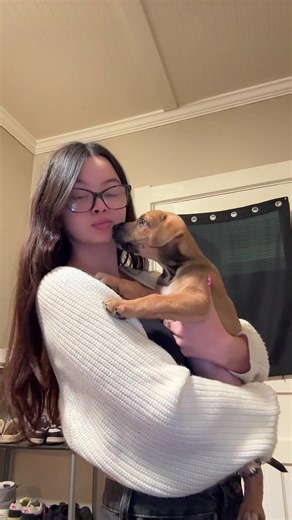 Meet My Adorable Diesel Puppy