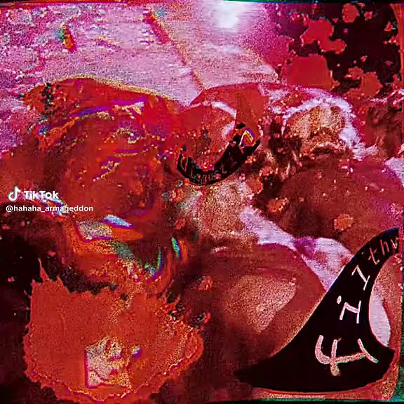 an experiment #jeanrollin #vampire #aesthetic #aestheticedits #wlw #fascination