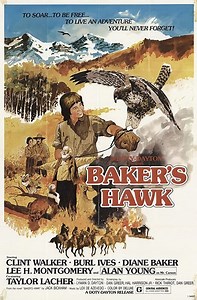 Stream Baker's Hawk (1976): Find it on Netflix, Prime Video, Hulu & more