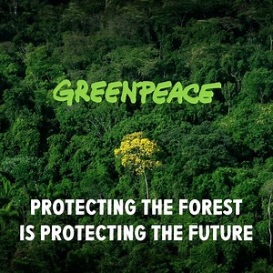 13K views · 570 reactions | Amazon deforestation has surged to its highest level in more than a decade. Protecting the forest is protecting our future. Demand change >> https://act.gp/2CMqpM0 | Greenpeace International | Facebook