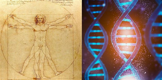 Art and science entwined: This course explores the long, interrelated history of two ways of seeing the world