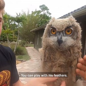Chandler Brings his Giant Owl to the Kamp! 🦉 | Kamp Kenan