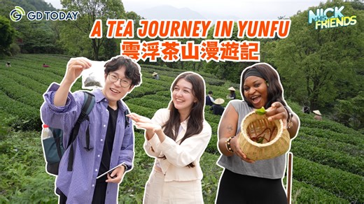 #Guangdong | 🌿✨ Nestled in the misty mountains of #Yunfu, #Guangdong, Xiangwo Mountain Ecological Park is the soul of Yunfu's #tea culture. In this vlog, we explore the origins of Xiangwo Tea, one of China's top ten most promising black teas, grown in mineral-rich soil under constant cloud cover. Joined by global students and creators, we became #tea pickers for a day! Strolled emerald fields, learned age-old tea-making secrets, and shared stories steeped in tradition. 🍃🍵 https://www.newsgd.c