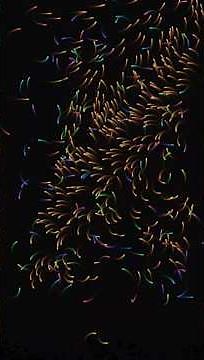 CreativeCoding | Particles #javascript #creativecoding #generativeart