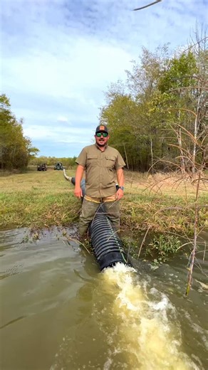 🦞 #repost The story of Louisiana cannot be told without its Cajun and Creole roots. ￼ Louisiana culture comes from centuries of blending. France and Spain, West Africa and the Caribbean all shaped the people, the music, and the food we know today. ￼ Cajun heritage traces to the Acadians who were expelled from Canada in the mid-1700s and made new lives across south Louisiana. Their cooking leans on what was at hand, with the “holy trinity” of onion, celery, and bell pepper as the base for dishes