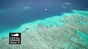 46K views · 223 reactions | Described by host of Discovery Channel's Local Knowledge TV show, Ali, as "The Best Fishing Trip I've ever Done". With action like this you can see why. When someone who has travelled the world gives a trip this kind of wrap you know it is something pretty special. Stop dreaming about it and get yourself onboard one of the world's best Sportfishing trips today. | Nomad Sportfishing | Facebook