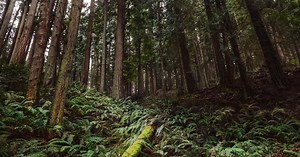 This is Why You Should Post-Process Your Photography