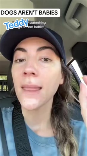 #CapCut Teddy is our Baby #cockapoo #dog #doglovers #dogsoftiktokviral