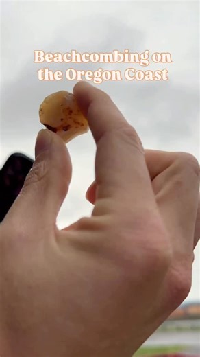 Eugene, Cascades & Coast | Beachcombing is the perfect coastal activity, and a great way to bring home a one-of-a-kind souvenir! Winter is a great time to hunt for... | Instagram
