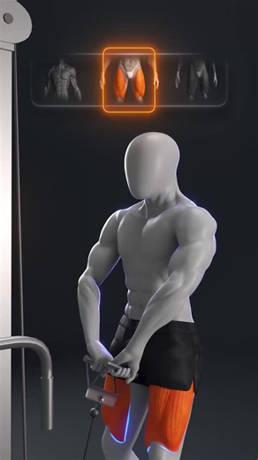 🔥 Cable Leg Workout for Quads, Inner Thighs, Hamstrings & Glutes Cable leg workouts keep constant tension on the muscles, making them ideal for building strong, balanced legs. By adjusting stance, angle, and tempo, you can effectively target the quads, inner thighs, hamstrings, and glutes without excessive joint stress. Focus on slow, controlled reps, full range of motion, and proper alignment to maximize muscle engagement and improve lower-body strength. 👉 3–4 sets · 10–15 reps 👉 Rest: 60–90