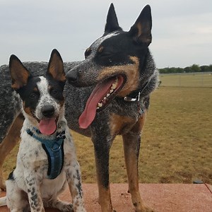 exiled_truth_ - Twitch