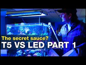 T5 vs LED: T5’s secret spectrum sauce? Do LED’s have a chance on our reef tanks?
