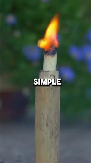 This Ancient Wooden Tool Can Control Fire #ancient #facts #history #science