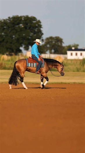 4.4K views · 178 reactions | Just do it.  @topfans Kimes Ranch JeansPurina Serna Custom Boots Superior Saddlery, LLC 100X Equine Elite Equine Promotions | Williams Performance Horses | Facebook