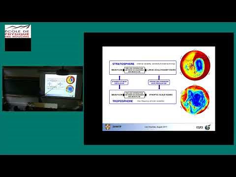 The fluctuation-dissipation theorem: from statistical physics to climate dynamics?