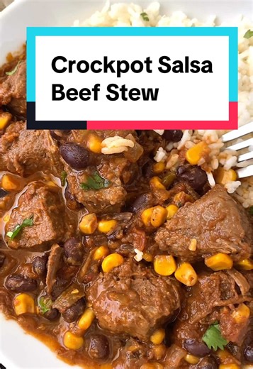 Slow Cooker Salsa Beef Stew Recipe with Flavorful Seasoning