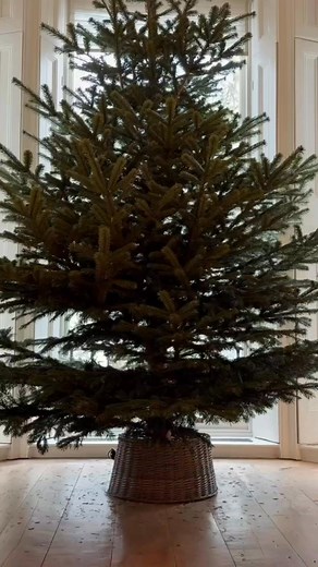 Victoria Beckham had a cosy and festive surprise waiting for @davidbeckham when he got home ✨🎄 Love, laughter and Christmas magic in the Beckham house tonight! ❤️ #FestiveSurprise #BeckhamFamily #ChristmasMagic #VictoriaBeckham #DavidBeckham #celebritynews #darellawhitestone | Darella Whitestone