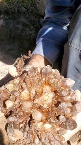 Throw back to this epic moment from earlier this season! What a monster plate!! 💎 | Colorado Geology