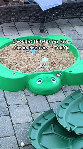 This is sandpit turtle! #bringmethehorizon #olisykes #sempiternal | Turtles