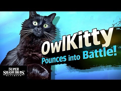 Smash Bros with a Cat
