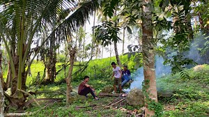 Live while we’re young. | Melophile.