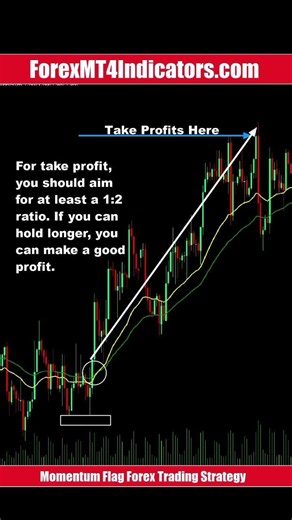Momentum Flag Forex Trading Strategy