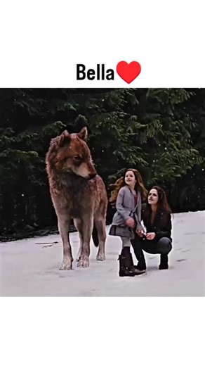 movie club on Instagram: "Movie: The Twilight Saga: Breaking Dawn – Part 2 🧛‍♂️🐺 Movie Length: 1h 55min Genre: Fantasy | Romance | Adventure IMDb Rating: 5.5/10 The epic conclusion to the saga where the Cullens must gather other vampire clans to protect Renesmee from a false accusation by the Volturi. It’s known for its dramatic final battle twist! Theme: The power of family and the lengths one will go to protect their loved ones against all odds. Hashtags: #Twilight #BreakingDawn #TeamEdward 