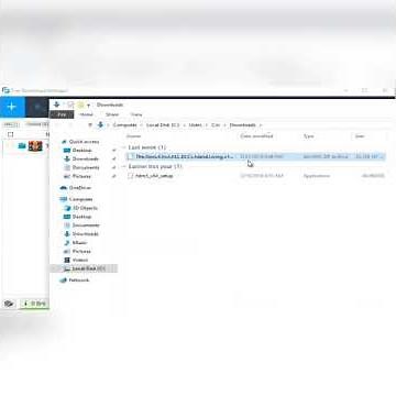 The Sims 4 and all expansion, game and stuff packs + cottage living
