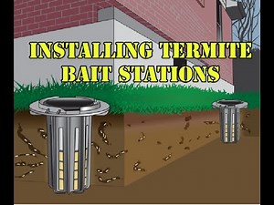 Installing termite bait stations on a new home for prevention #termites