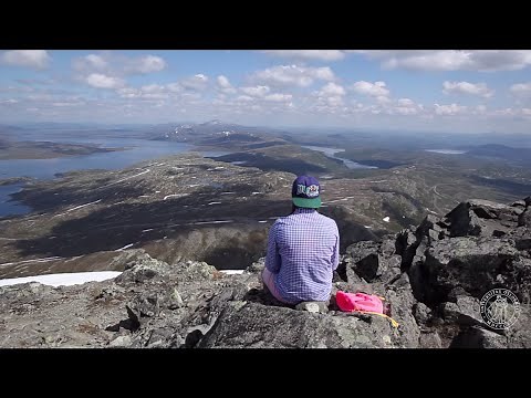 UIO : International Summer School