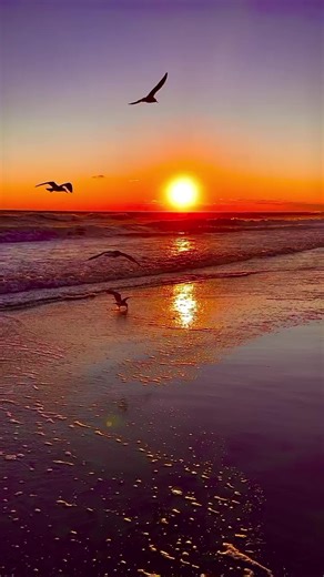 Conan Coman: A Deep Dive