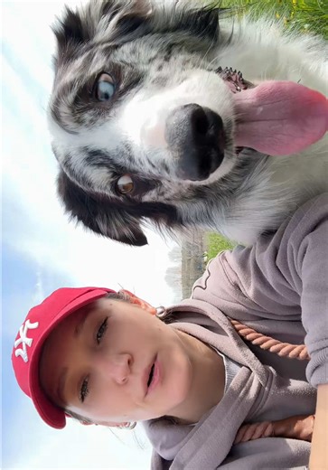 Risposta creativa a @sony