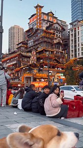 110K views · 1K reactions | Skater dog in action!  #dog #DocMartinDogs #doglover #corgi #funny #pet #smartphone | Doc Martin | Facebook