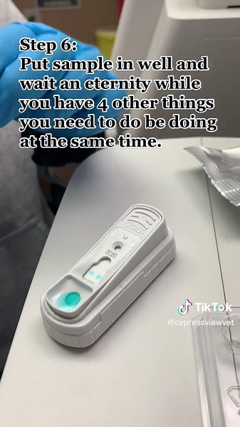 Veterinary Lipase Blood Test Procedure Explained