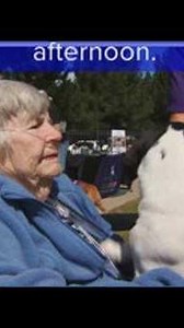 Adoptable dog afternoon at Encore Assisted Living