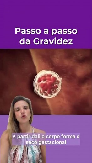 Gravidez, implantação, concepção, nidação e desenvolvimento do embrião