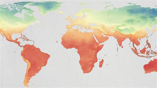 In the world’s hottest forests, scientists are probing how plants cope with rising temperatures. Learn more: https://scim.ag/4l6v4Ln | Science