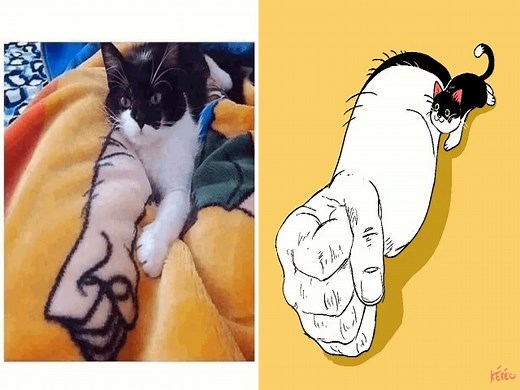 Inspirations from animals! | Kékéflipnote - Kévin Gemin