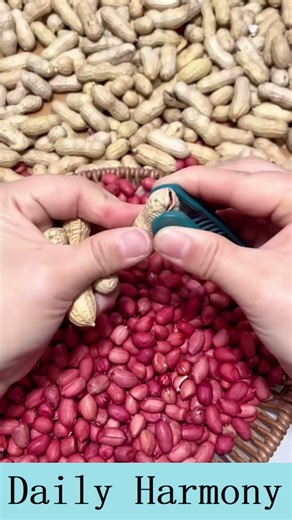 The Fastest Way to Shell Peanuts!