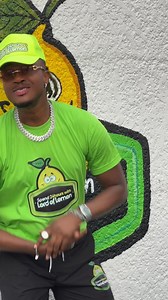 90K views · 3.2K reactions | #spent24hourswithlordoflemon | Lord of lemon | Facebook