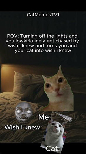 Cat memes 🐱 Turning off the lights at night.. #cat #catmemes